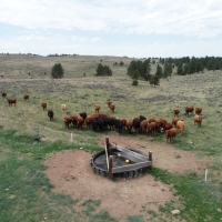 Parker Ranch images 6