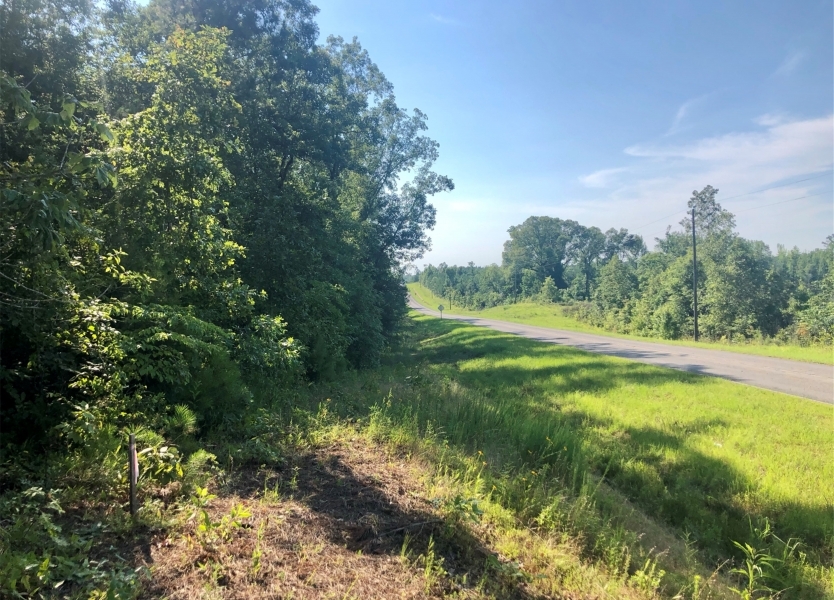 25 Acres in Winston County in Louisville MS featured image