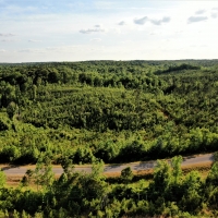29-064-lake-martin-mini-farm