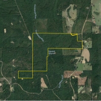 Laton Hill Escatawpa River Tract images 4