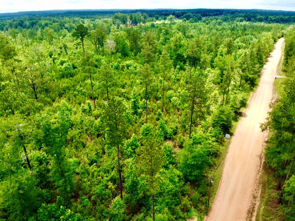 Laton Hill Escatawpa River Tract featured image
