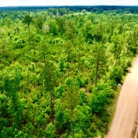 Laton Hill Escatawpa River Tract