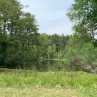 LA - West Carroll Ainsworth 72 ac -