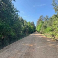 AR - Ashley Fleming 117 acres - images 2