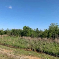 AR - Ashley Fleming 117 acres - images 4