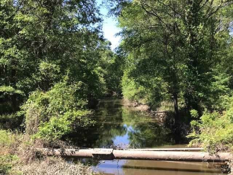 LA - Richland Meador 90 acres - featured image