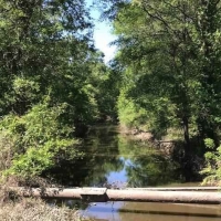 LA - Richland Meador 90 acres -