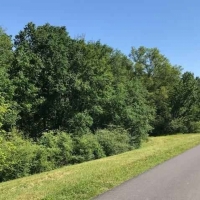 LA - Richland Meador 90 acres - images 3