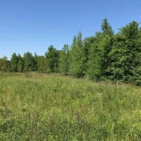 LA - Richland Meador 90 acres - images 4