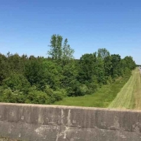 LA - Richland Meador 90 acres - images 5