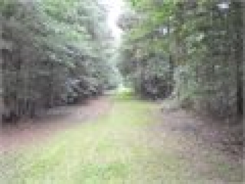 LA - Ouachita Midyette 80 acres - featured image