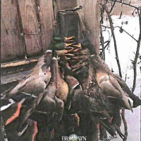 LA - Richland The Haven 267 acres - SHARE images 3