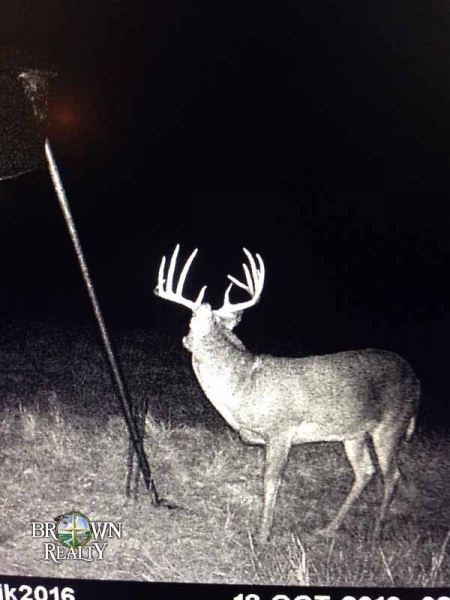 KS - Hamilton 659 acres - featured image