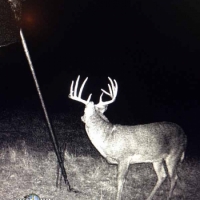 KS - Hamilton 659 acres -