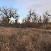 KS - Hamilton 659 acres - images 2