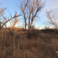 KS - Hamilton 659 acres - images 3