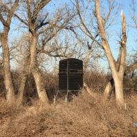 KS - Hamilton 659 acres - images 4