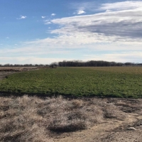 KS - Hamilton 659 acres - images 5
