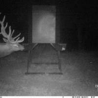 KS - Hamilton 659 acres - images 6