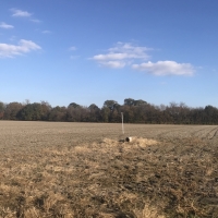 AR - Arkansas Warren 80 acres - images 4