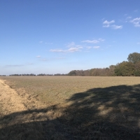 AR - Arkansas Warren 80 acres - images 5
