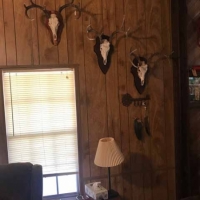 TX - McCulloch Mcheacharn 308 acres - images 3