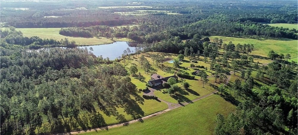 1 401 Acres Hickory Creek Farm in Hancock County in Carriere MS featured image