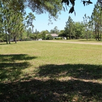 1 401 Acres Hickory Creek Farm in Hancock County in Carriere MS images 6