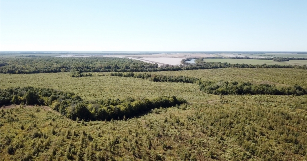 LA - Catahoula Black Bayou 2659.6 acres - featured image
