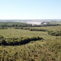 LA - Catahoula Black Bayou 2659.6 acres -