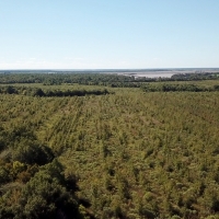 LA - Catahoula Black Bayou 2659.6 acres - images 2