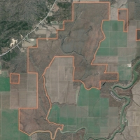 LA - Catahoula Black Bayou 2659.6 acres - images 3