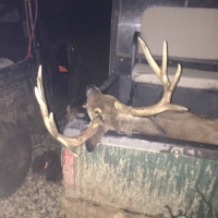 LA - Morehouse Kiper 556 acres - images 3
