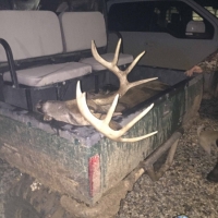 LA - Morehouse Kiper 556 acres - images 4