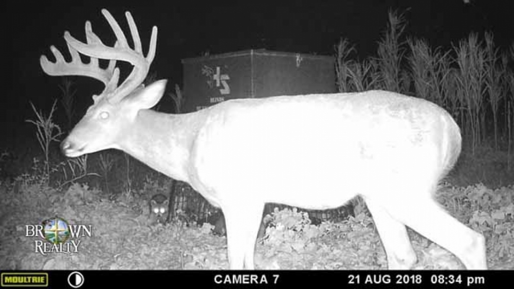 MS - Warren Lusco Wadleigh 1115 acres - featured image