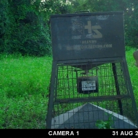 MS - Warren Lusco Wadleigh 1115 acres - images 2