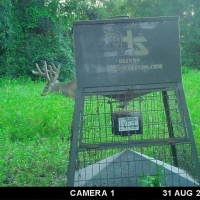 MS - Warren Lusco Wadleigh 1115 acres - images 6