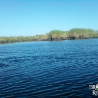 LA - St. Tammany Tchefuncte Tract 799 acres -