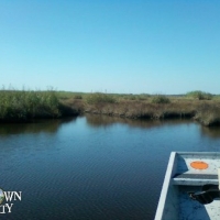 LA - St. Tammany Tchefuncte Tract 799 acres - images 2