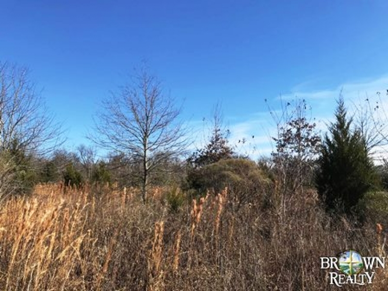 LA - Tensas Jones 90 acres - featured image