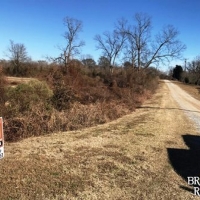 LA - Tensas Jones 90 acres - images 3