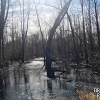 LA - Tensas Jones 90 acres - images 4