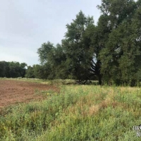 KS - Barber Axtell 330 acres - images 2