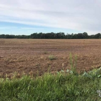 KS - Barber Axtell 330 acres - images 3