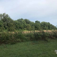 KS - Barber Axtell 330 acres - images 4