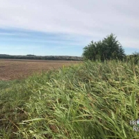 KS - Barber Axtell 330 acres - images 5