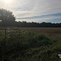 KS - Barber Axtell 330 acres - images 6