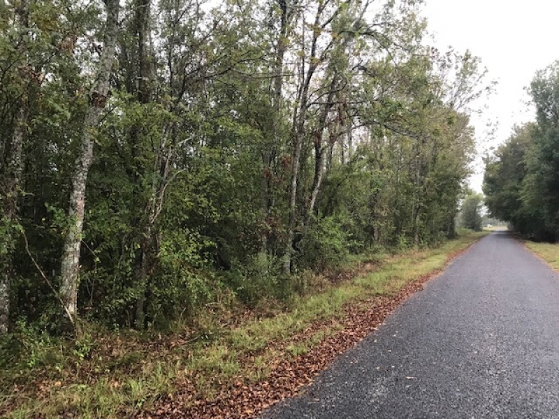 LA - Catahoula Entrada 40 acres - featured image