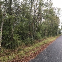 LA - Catahoula Entrada 40 acres -