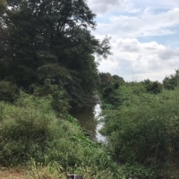 LA - West Carroll Barnidge 80 acres - images 2